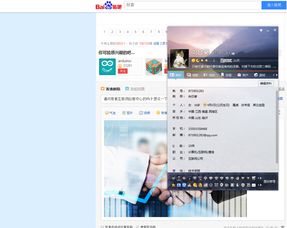 軟件外包項目的承接者與執行流程
